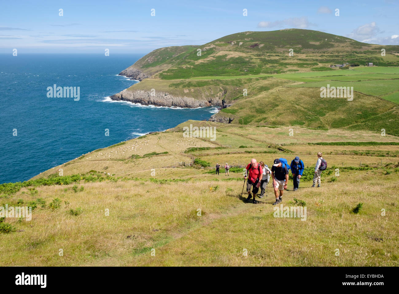 Group of Ramblers walking on Wales coast path from Porth Llanllawen Lleyn Peninsula / Pen Llyn Gwynedd North Wales UK Britain Stock Photo