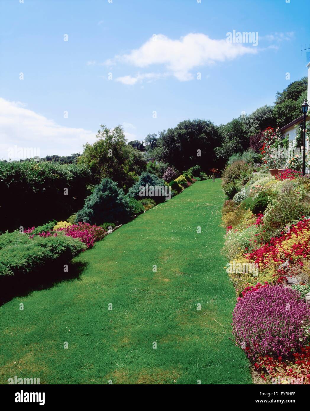 Kilcrohane, Co Cork, Ireland; Border And Lawn During Summer Stock Photo Alamy