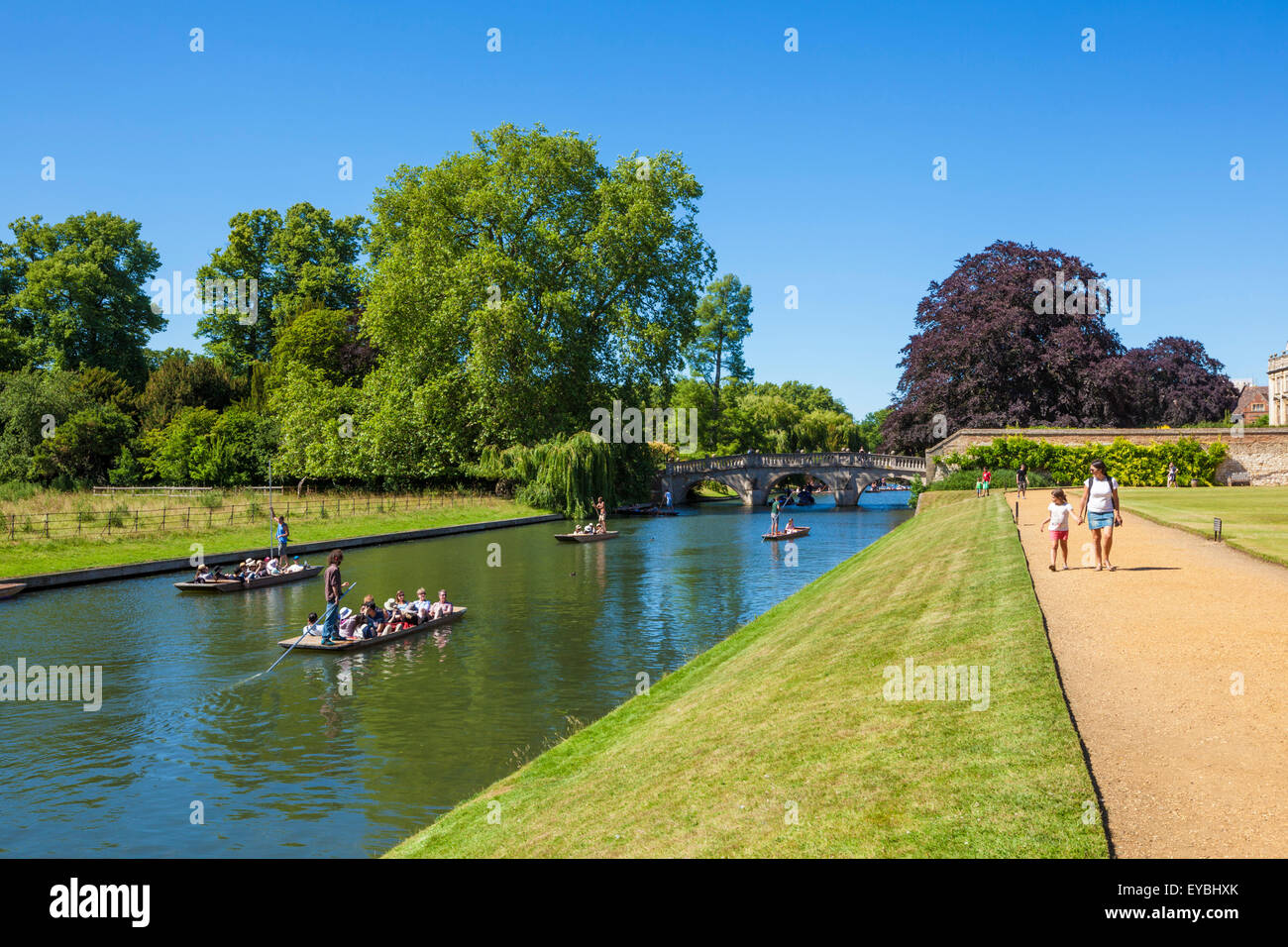 Punting on the River cam Cambridge Cambridgeshire England UK GB EU Europe Stock Photo
