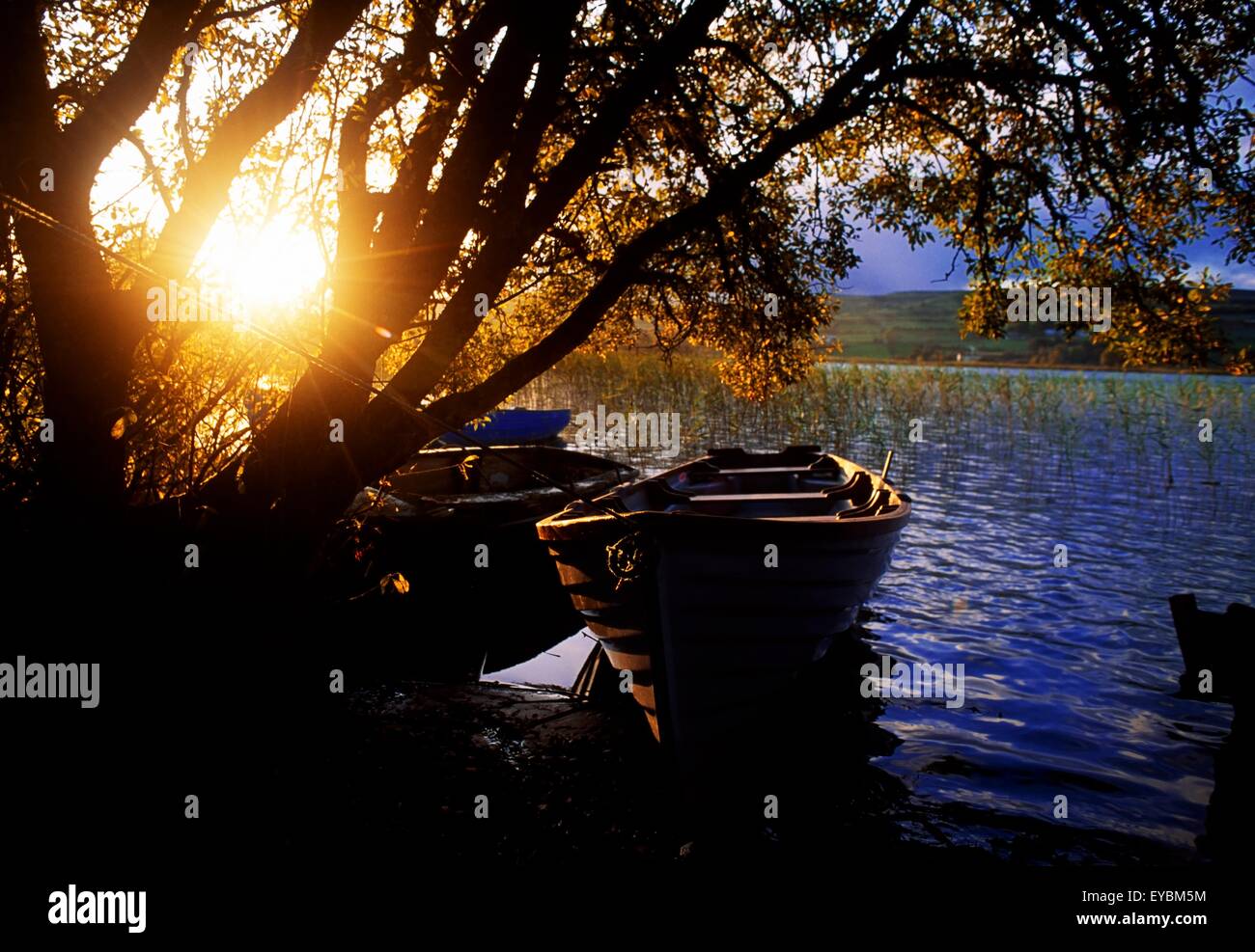 Lough Arrow, Co Sligo, Ireland; Lake Near Ballinafad Stock Photo Alamy