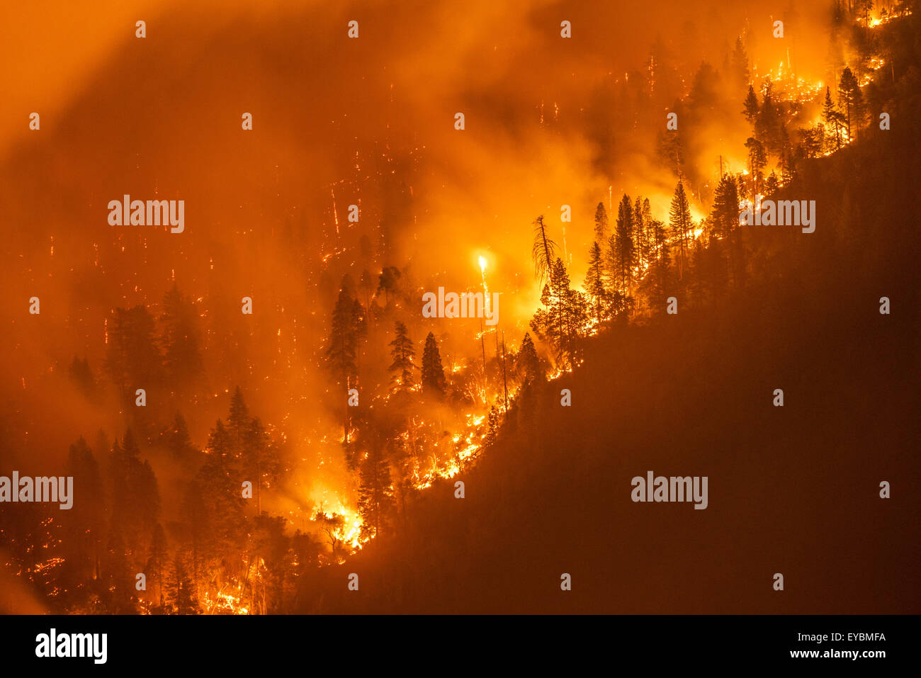 Орион горит. Орион горит. Горит торговый центр. Горящий склад. Пожары лесов в воронежской область 2020 год.