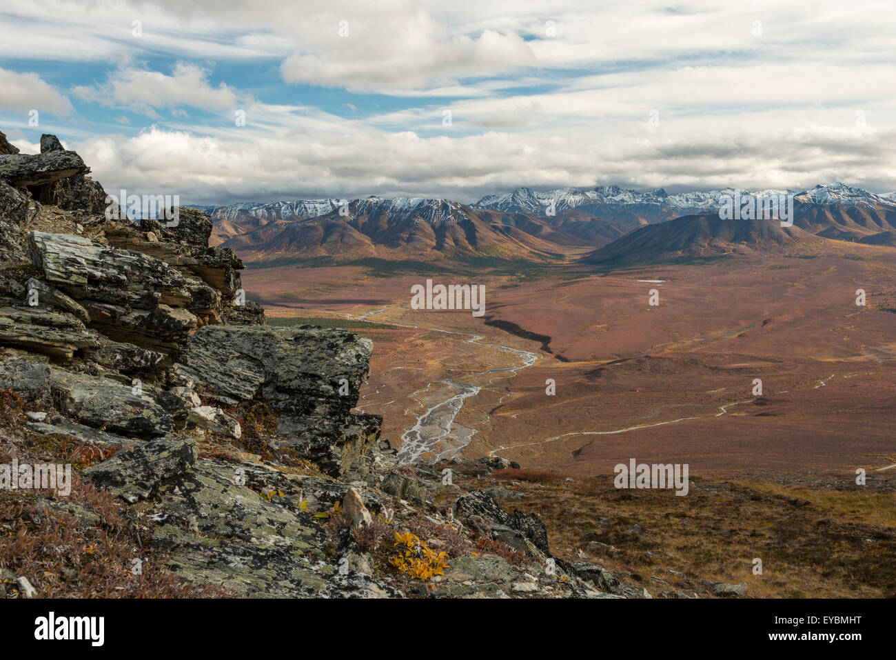 View into Denali National Park from the Primrose Ridge Stock Photo