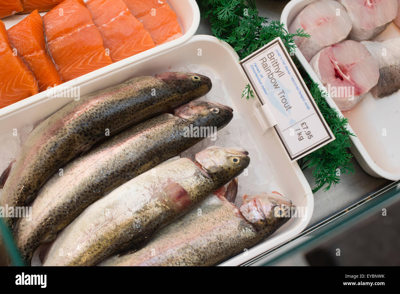 4 small fish hi-res stock photography and images - Alamy