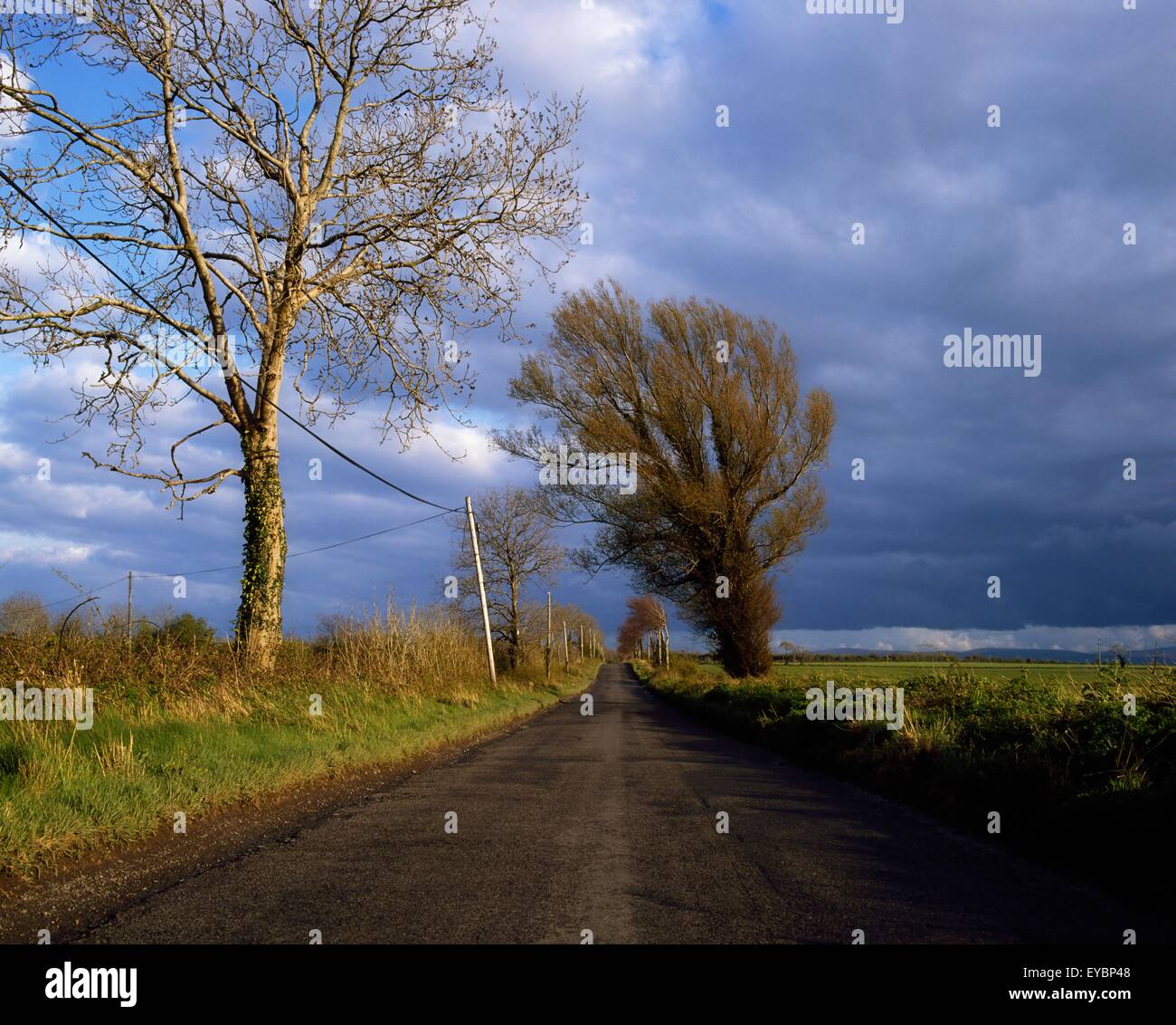 Kilbride, Co Meath, Ireland; Country Road Stock Photo Alamy