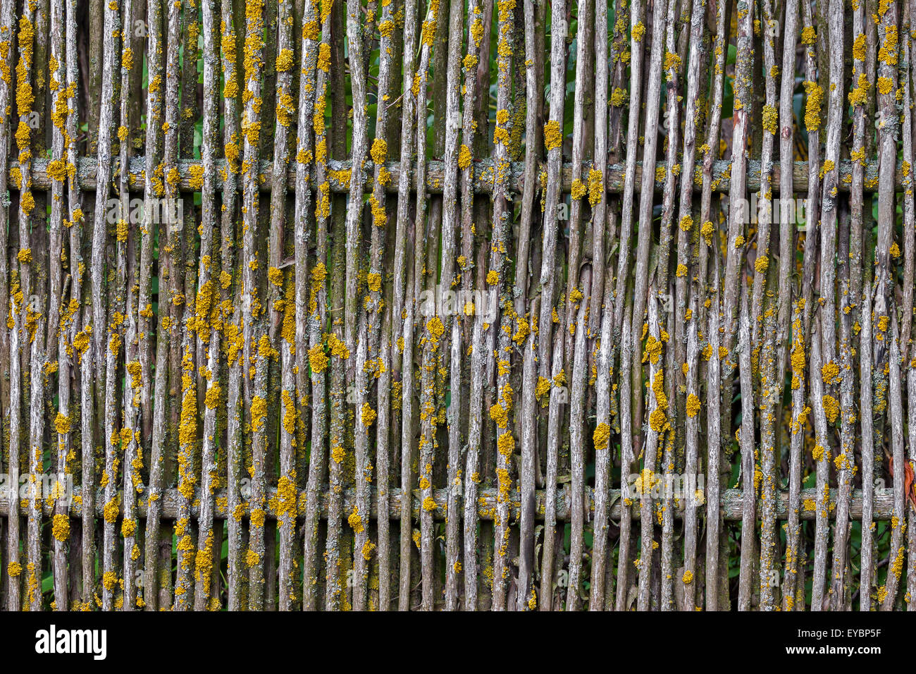 Weathered old wooden fence hi-res stock photography and images - Alamy