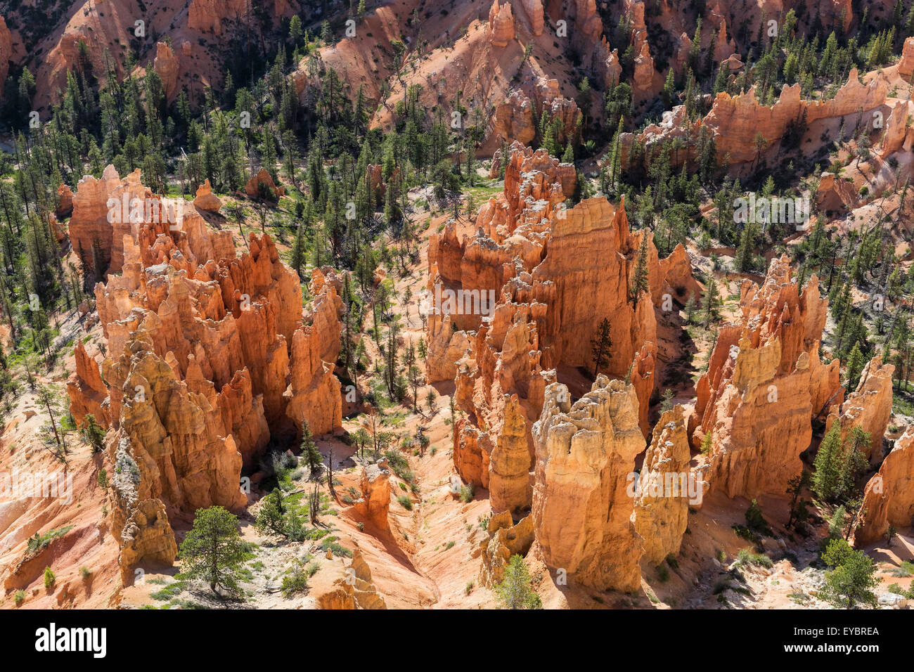 Bryce Canyon National Park, Utah Stock Photo