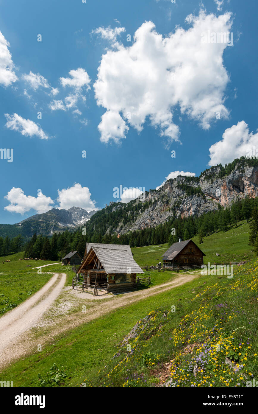 Alpine cabins at Wurzeralm, Austria Stock Photo