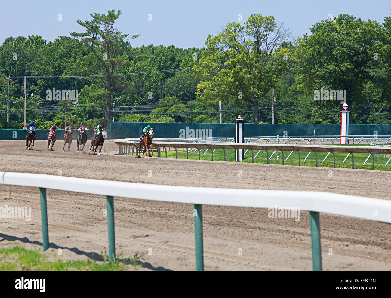 A day at the races Stock Photo Alamy
