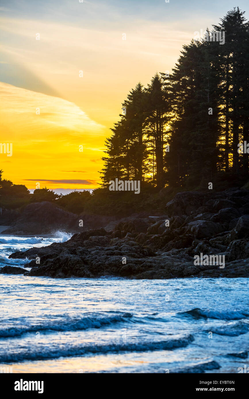 North America, Canada, British Columbia, Vancouver Island, Tofino, Cox Bay Stock Photo