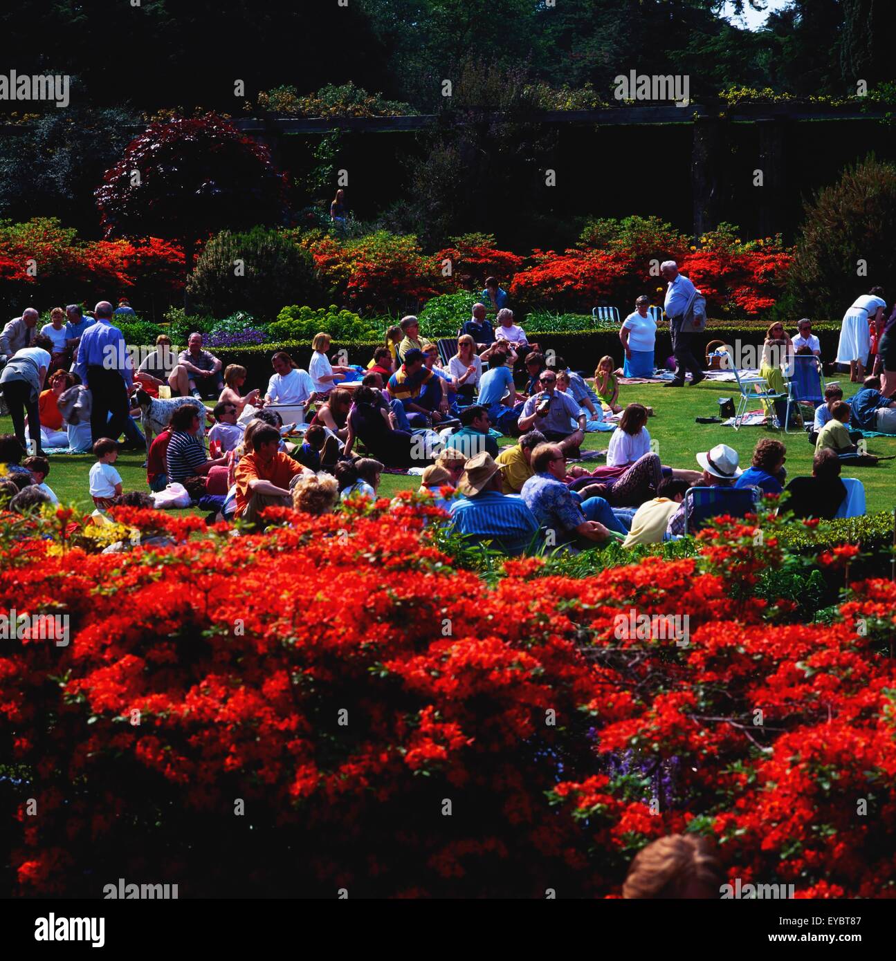 Mount Stewart, Co Down, Ireland; People Watching A Band At The National Trust House And Garden Stock Photo