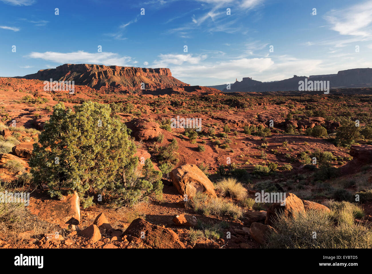 Desert of Moab, Utah Stock Photo