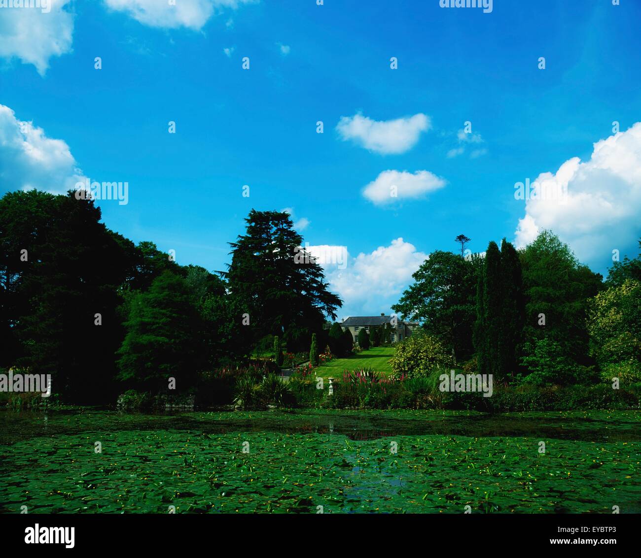Altamont Garden, Co Carlow, Ireland; The Lake At Altamont Stock Photo