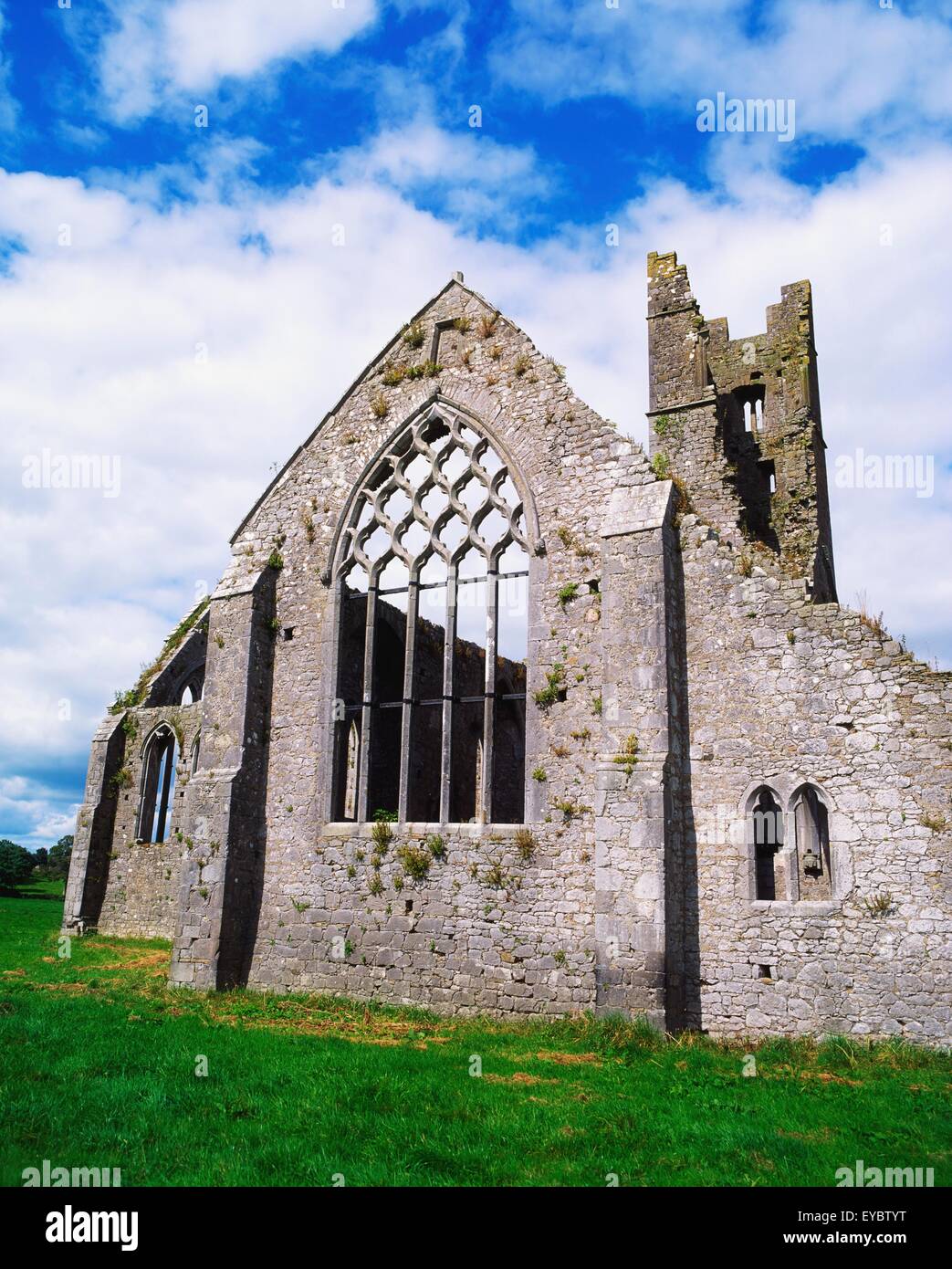 Kilmallock Dominican Priory, Kilmallock, Co Limerick, Ireland; Priory Established In 1291 Stock Photo