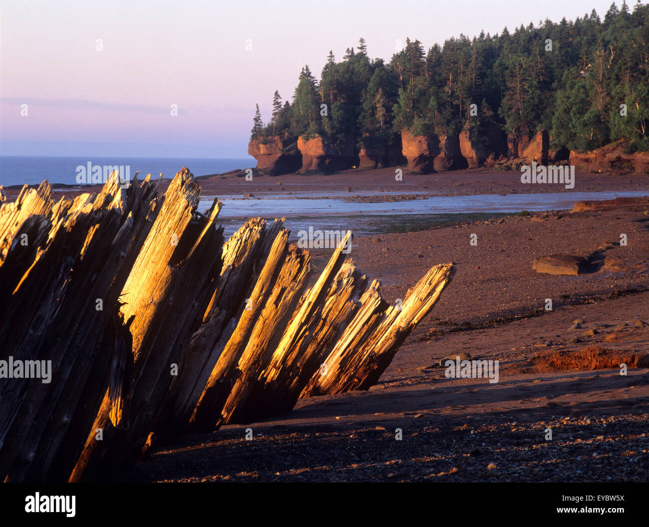 North America, Canada, New Brunswick, Bay Of Fundy, Hopewell Rocks, wood tidal barriers, world's highest tides rise 35' Stock Photo