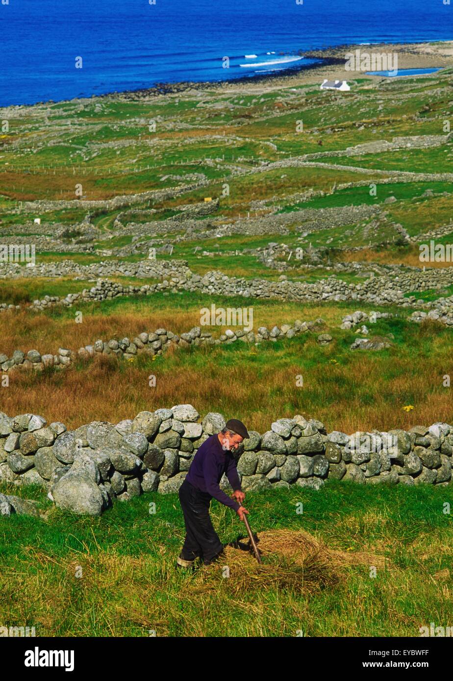 Bloody Foreland, Co Donegal, Ireland; Man Making Hay Stock Photo