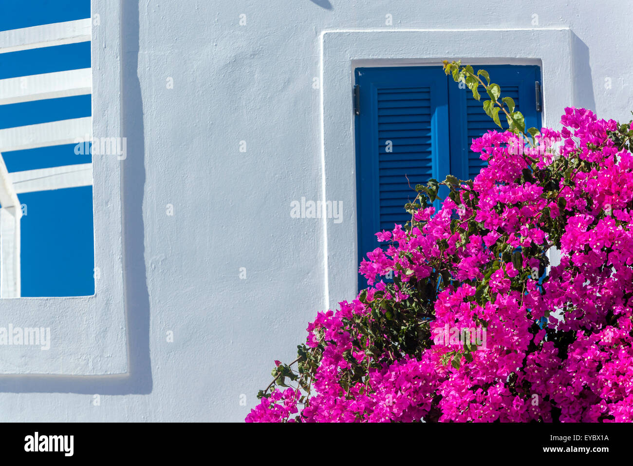 White buildings and pink Bougainvillea Santorini Greece flowers house Stock Photo