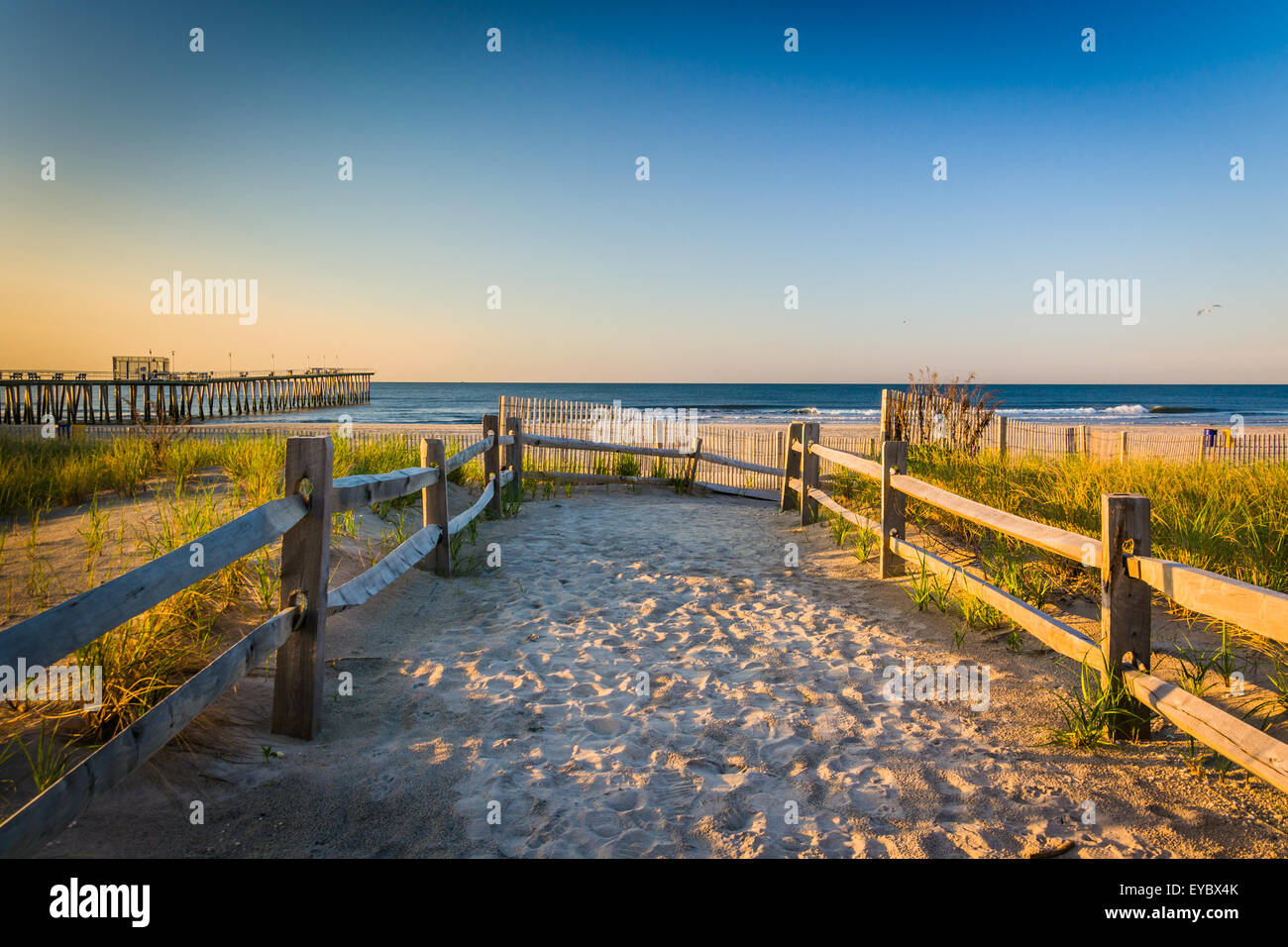 Path over sand dunes to the Atlantic Ocean at sunrise in Ventnor City, New Jersey. Stock Photo