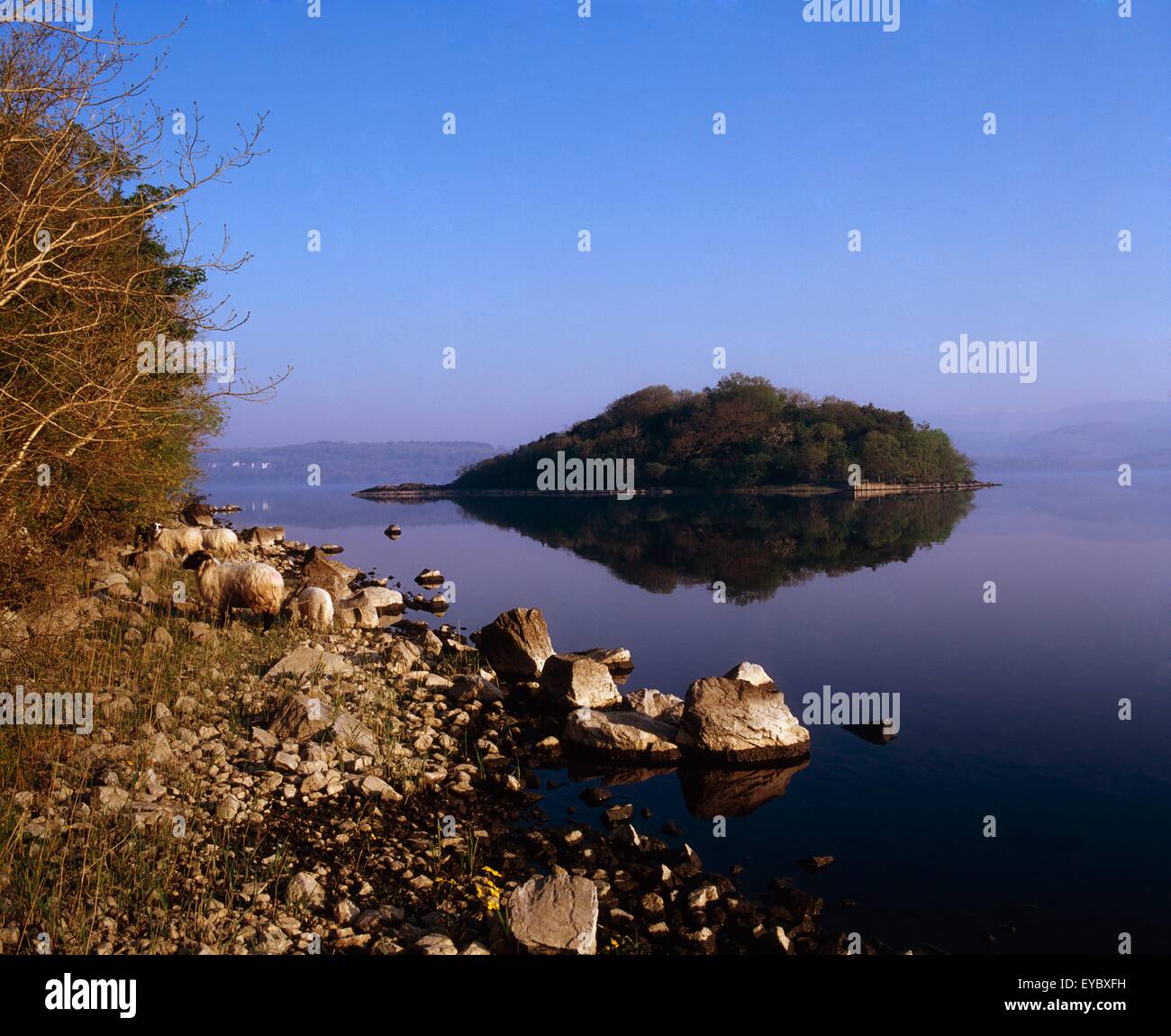 Innisfree ireland hires stock photography and images Alamy