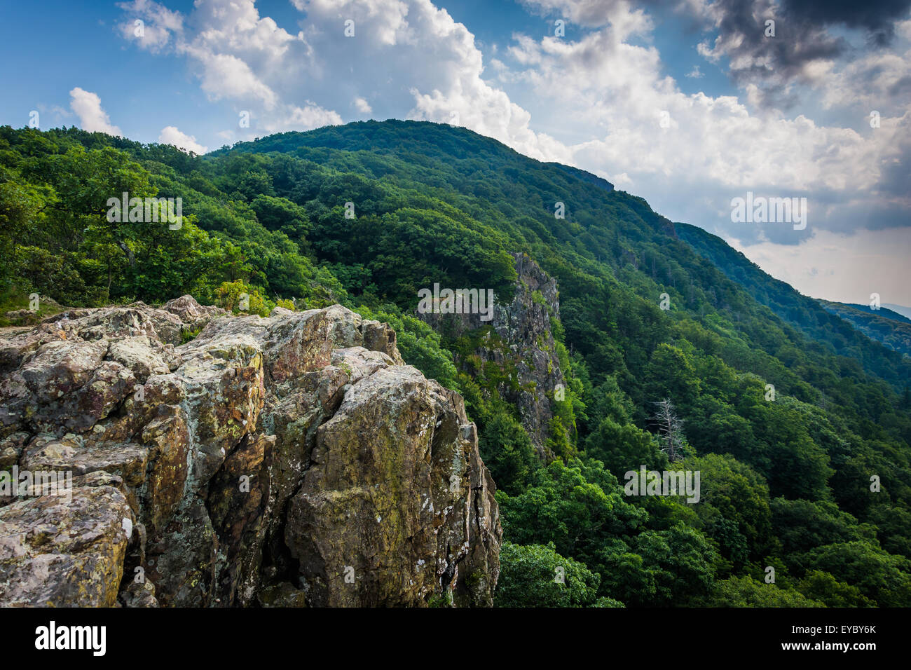 View of the Blue Ridge Mountains from Little Stony Man Cliffs in ...
