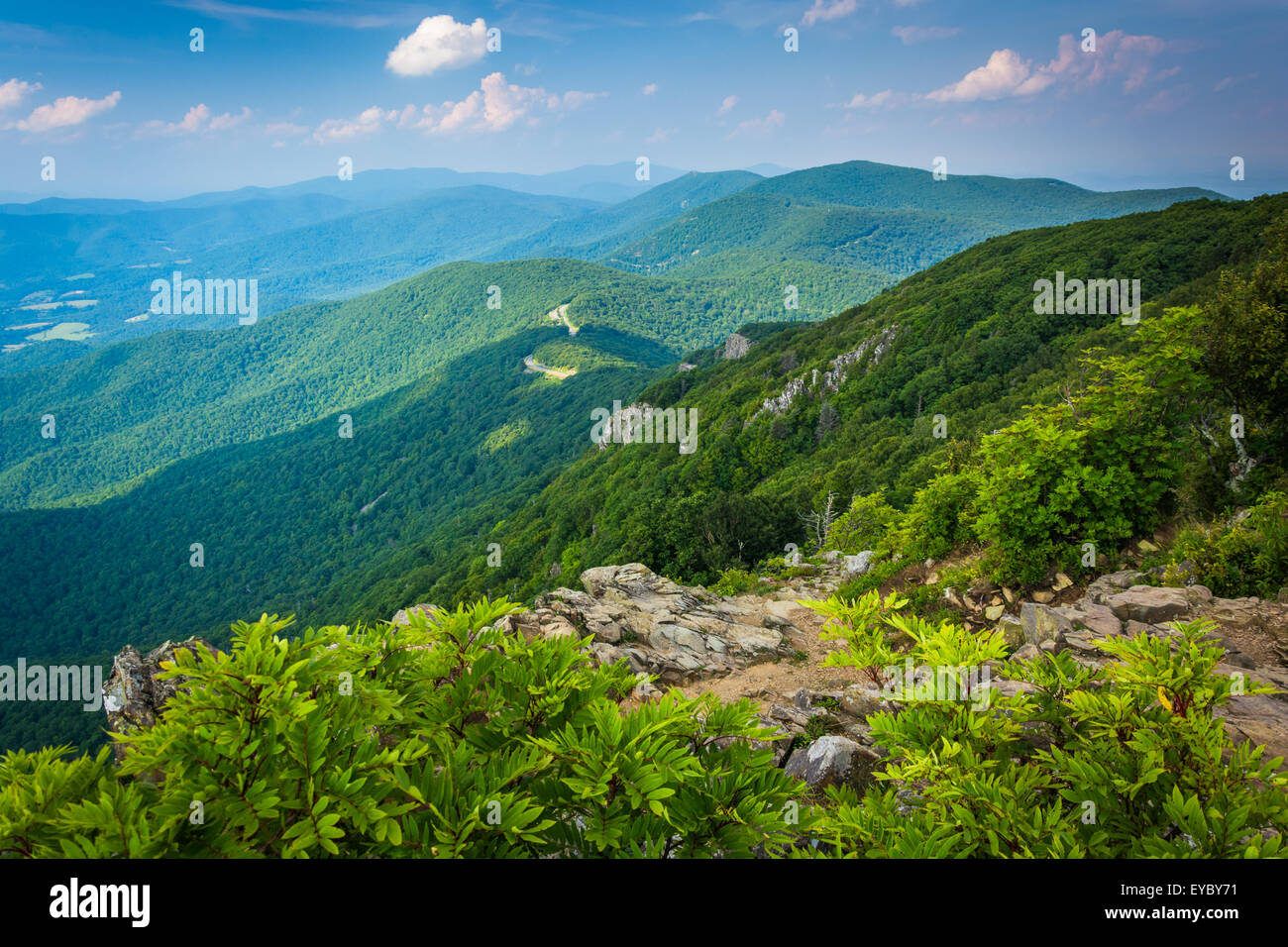 View of the Blue Ridge Mountains from Stony Man Mountain in Shenandoah National Park, Virginia. Stock Photo