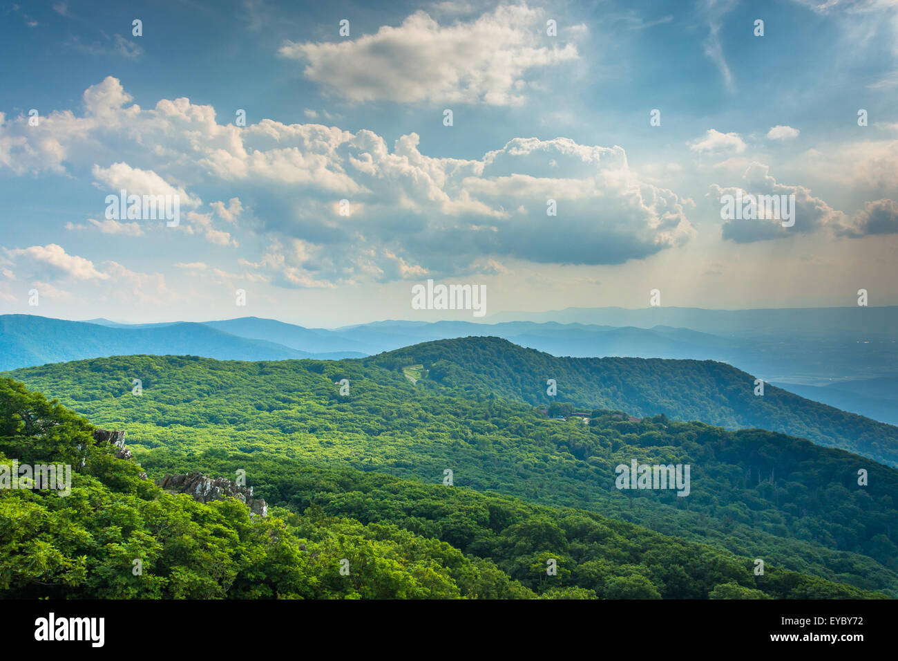 View of the Blue Ridge Mountains from Stony Man Mountain in Shenandoah National Park, Virginia. Stock Photo
