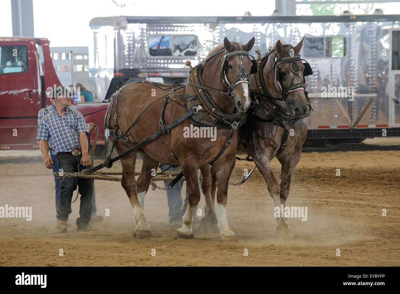 Heavyweight Draft Horse Team during competition at the Delaware State