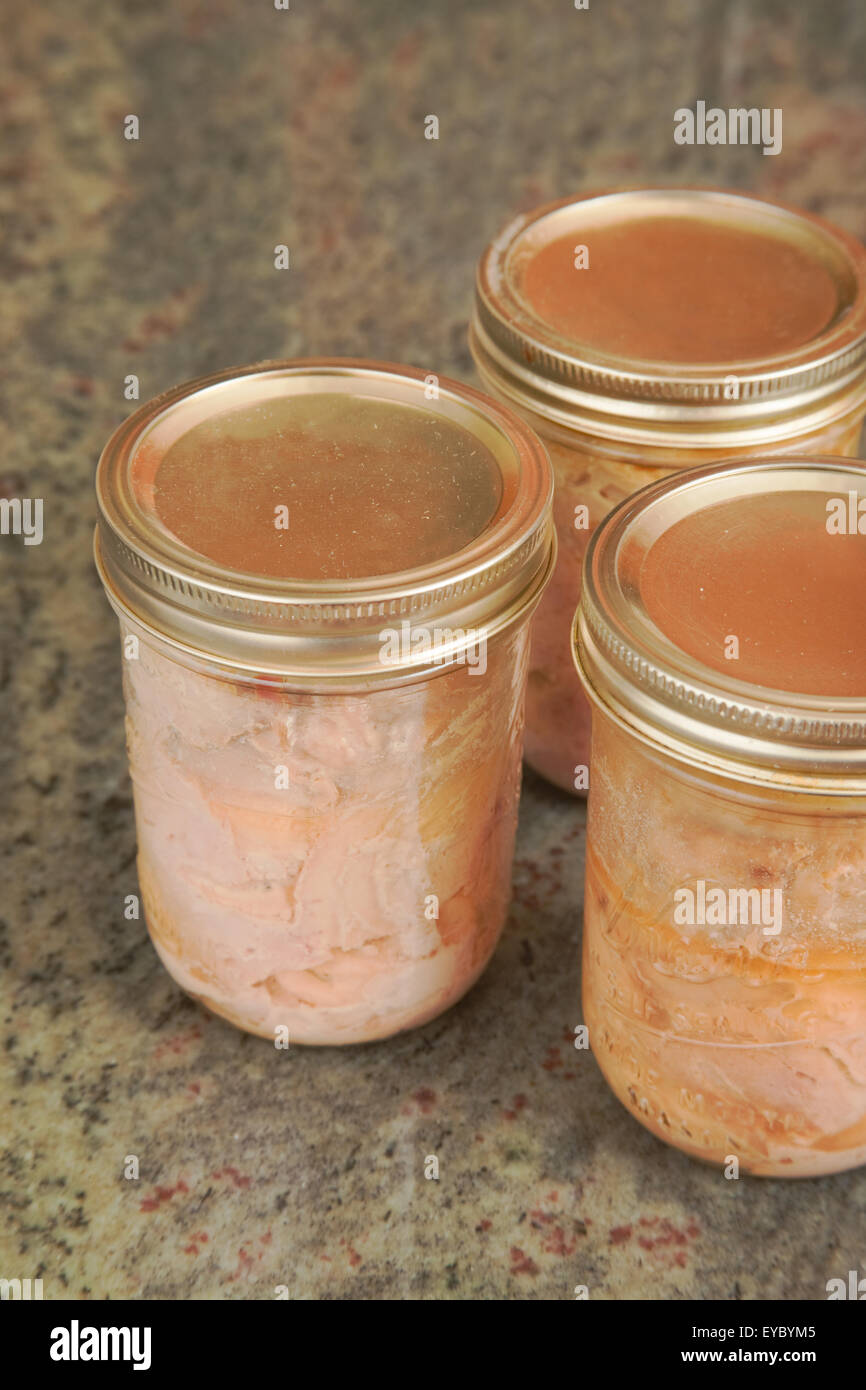 Jars of home canned tuna in the kitchen in Issaquah, Washington, USA Stock Photo