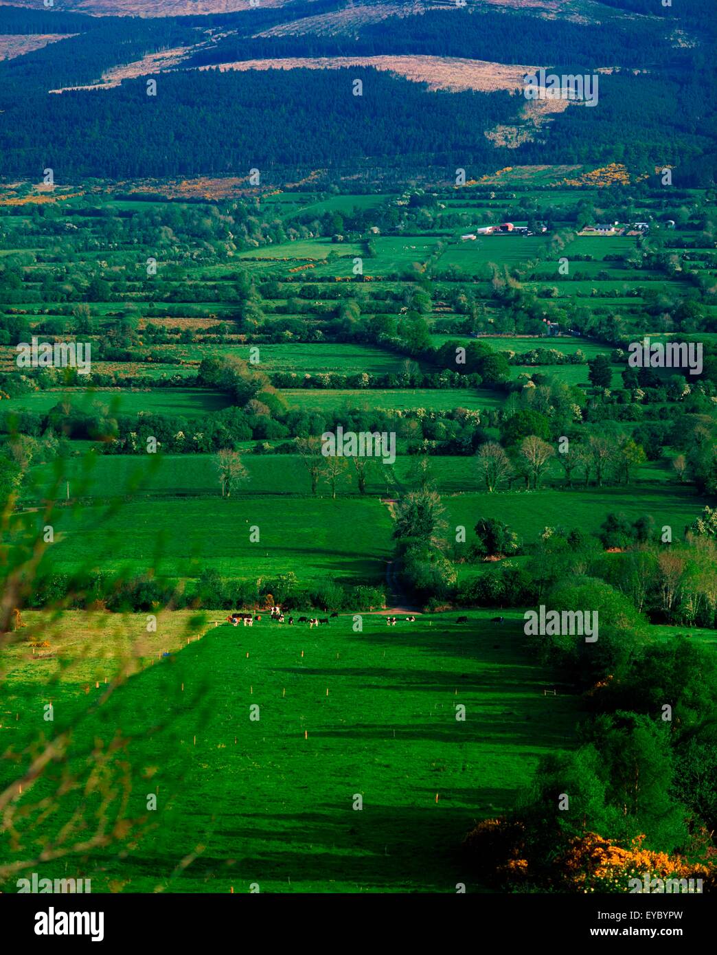 Glen of aherlow hires stock photography and images Alamy