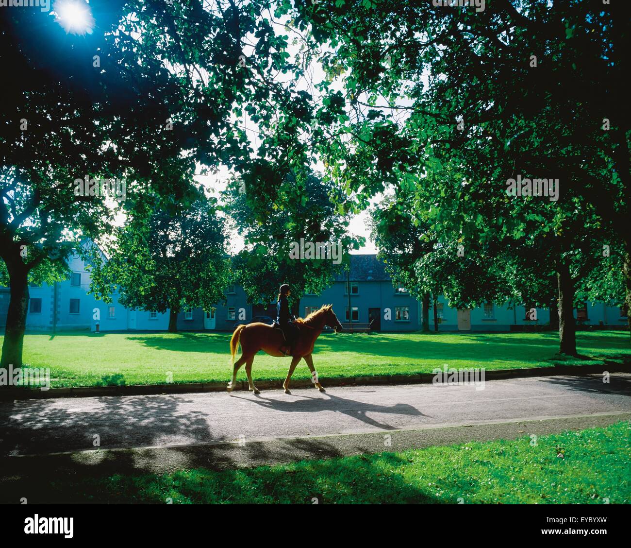 Horseback Riding, Freshford, Co Kilkenny, Ireland Stock Photo Alamy