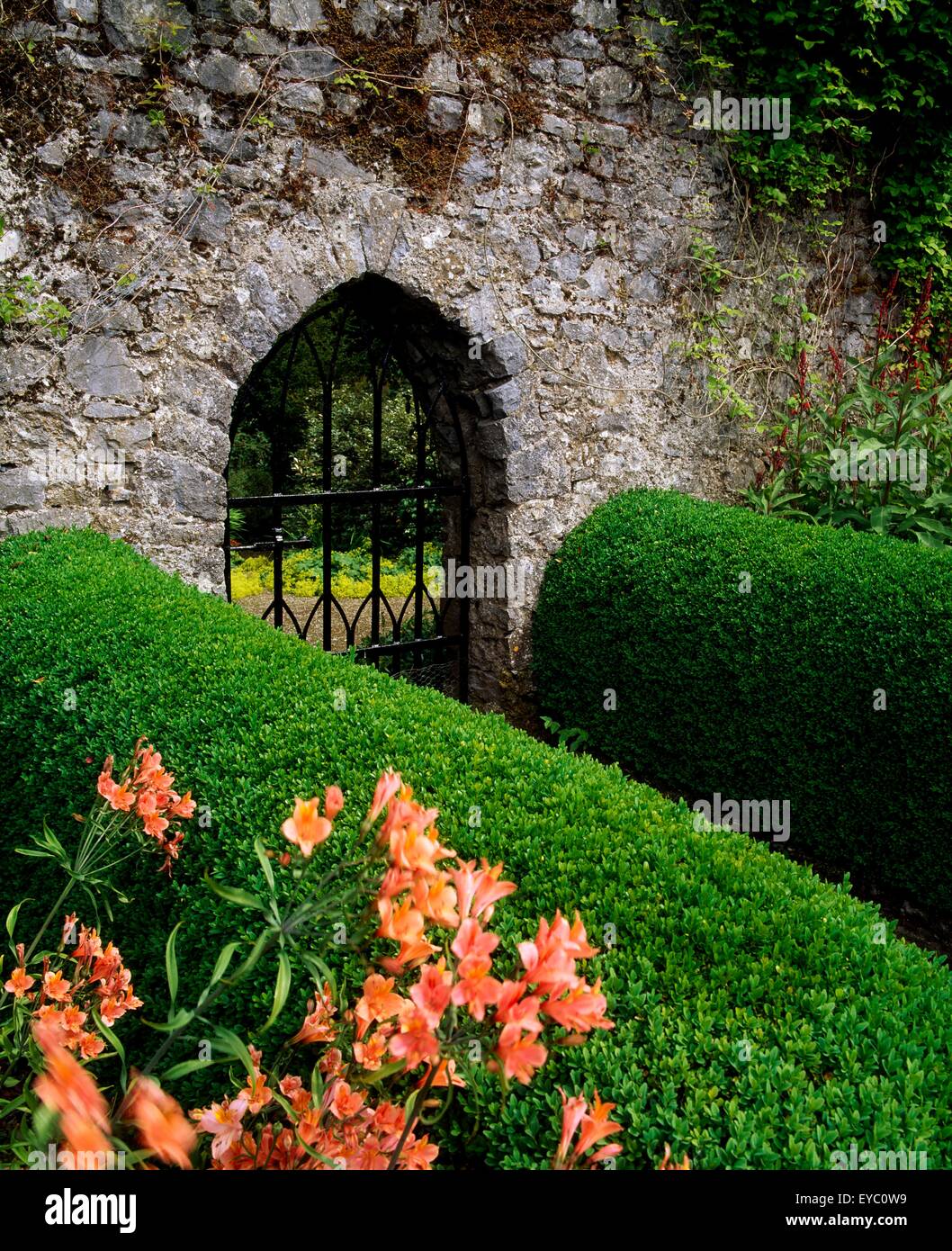 Ardsallagh House, Co Tipperary, Ireland; Gothic Gate In The Walled