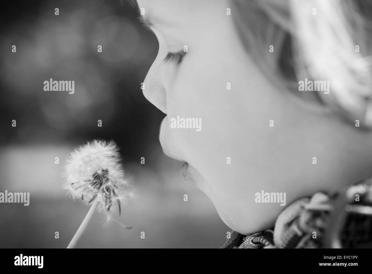 Caucasian blond baby girl and dandelion flower in a park, monochrome photo with selective focus Stock Photo
