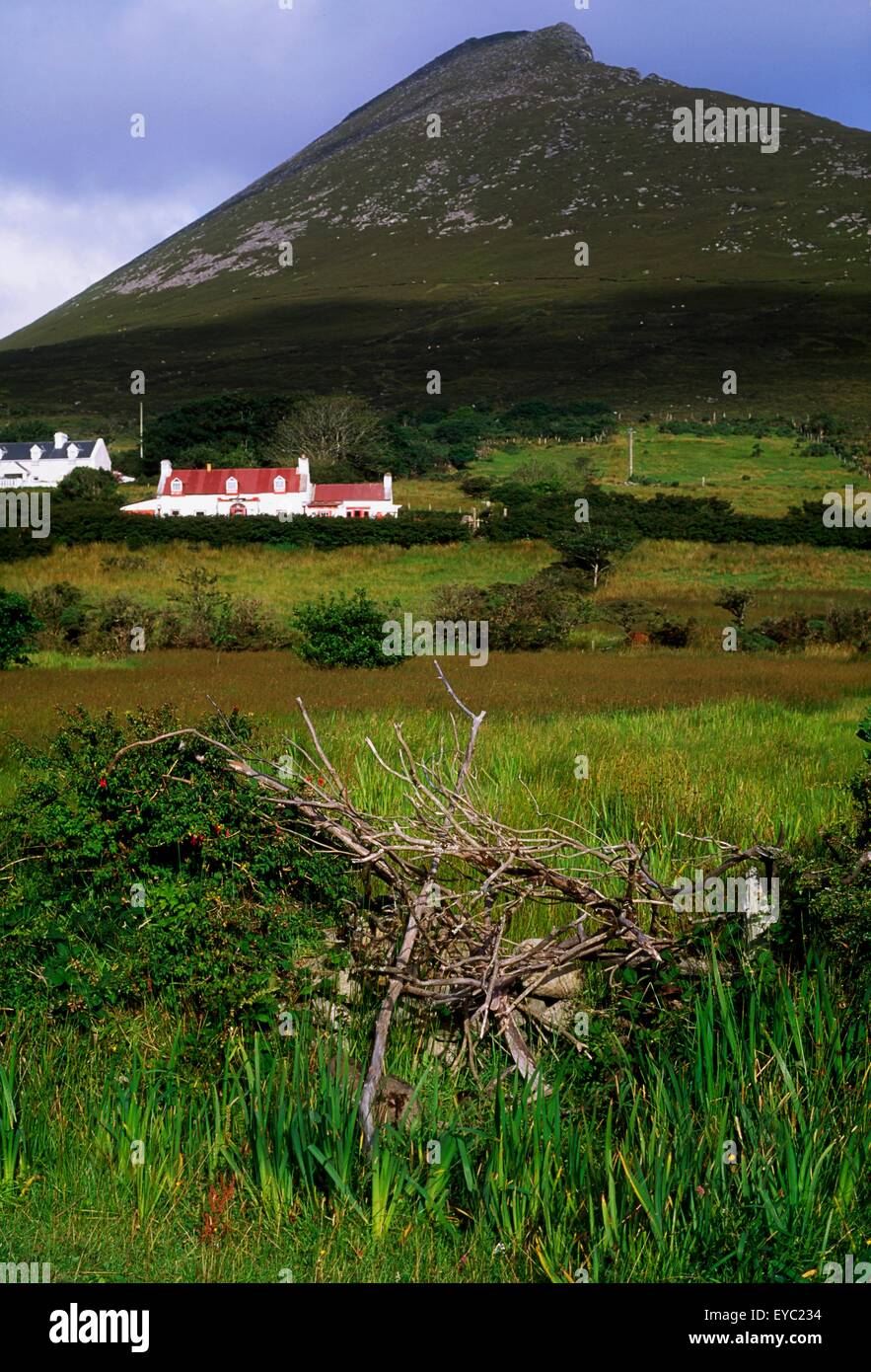 Enclosure in Slievemore (sherkin Island)