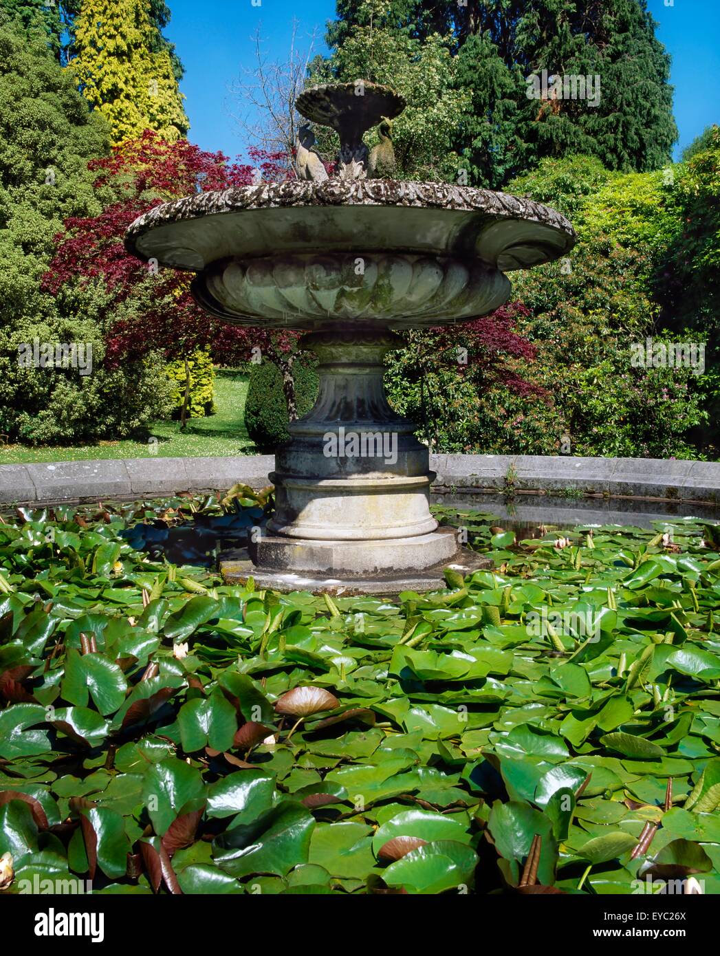 The Heron Fountain And Water Lilies, Castlewellan, Co Down, Ireland