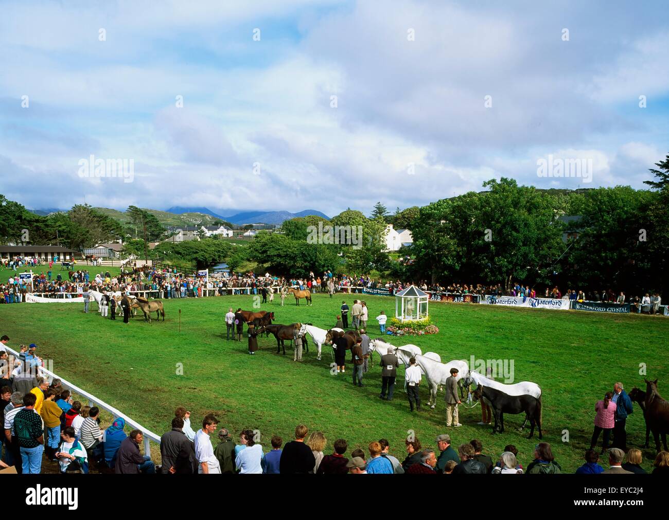 Clifden Pony Show, Co Galway, Ireland Stock Photo