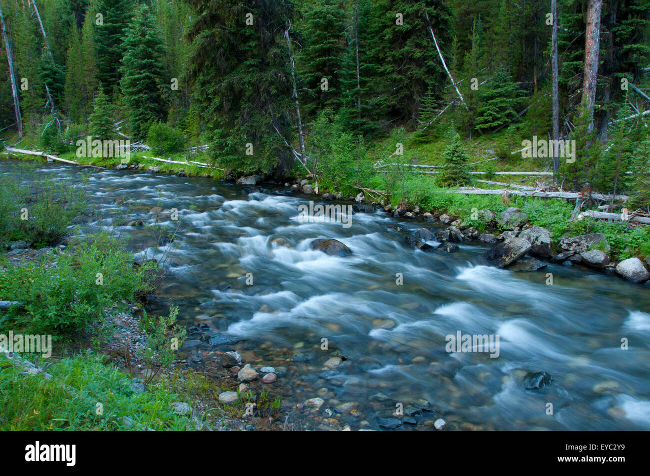 North Fork John Day Wild and Scenic River, North Fork John Day
