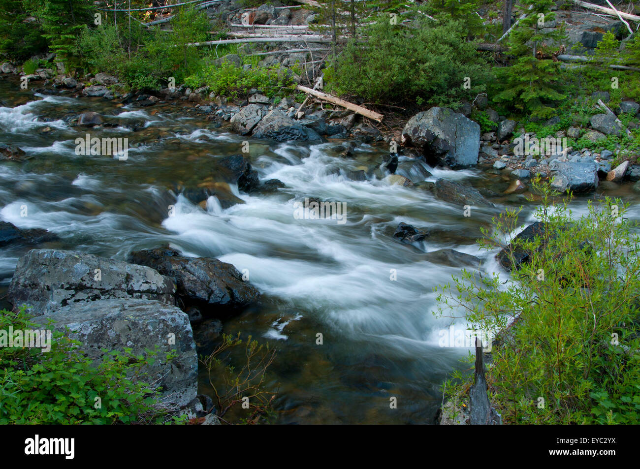 North Fork John Day Wild and Scenic River, North Fork John Day