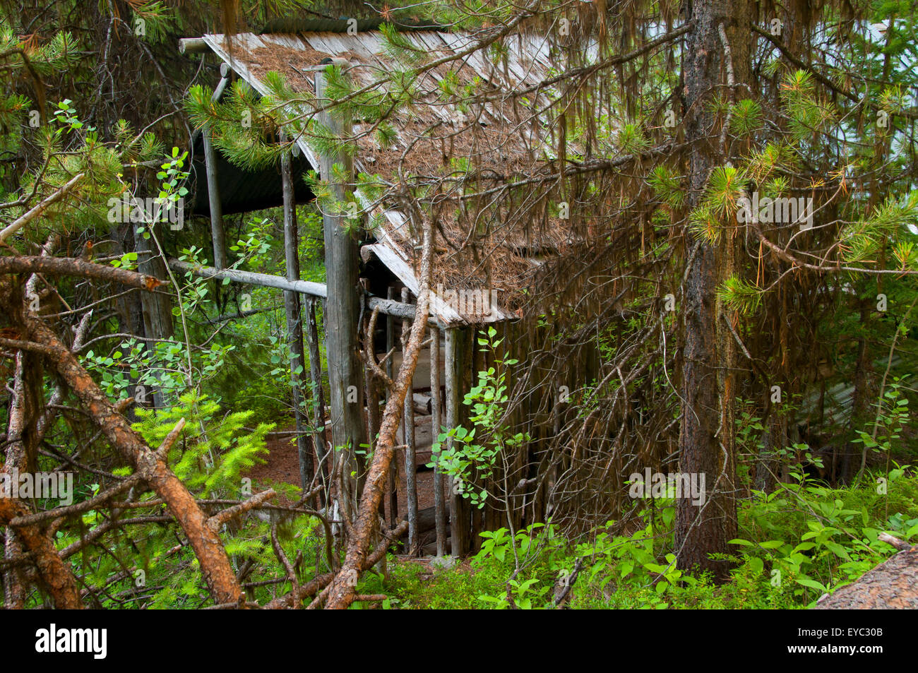 Mining cabin, North Fork John Day Wild and Scenic River, North Fork