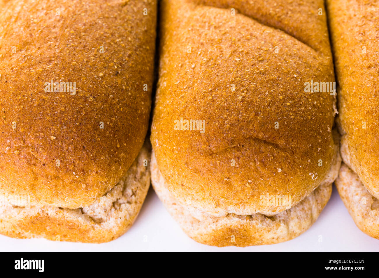 Freshly baked hot dog buns on a white background Stock Photo Alamy