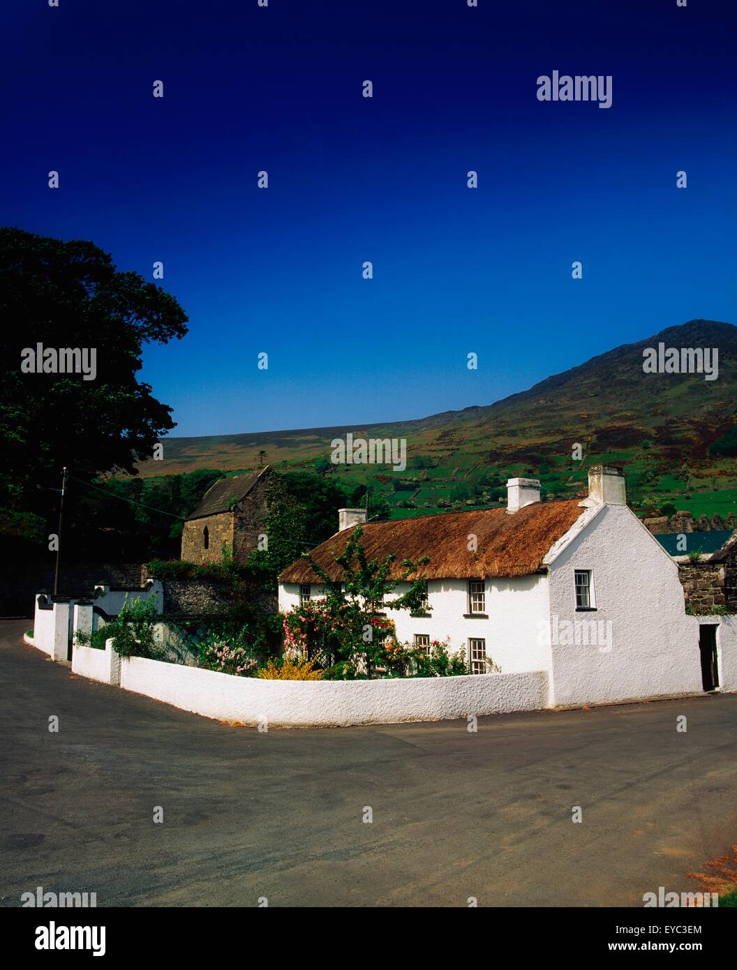 Carlingford, Co Louth, Ireland; Thatched Cottage Stock Photo Alamy