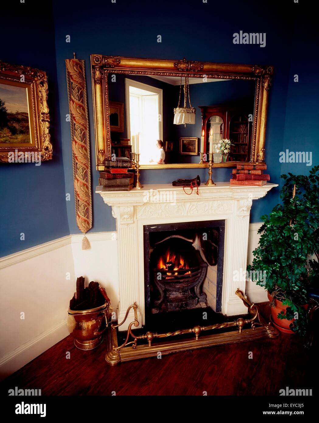 Frybrook House, Boyle, Co Roscommon, Ireland; Fireplace In An 18Th