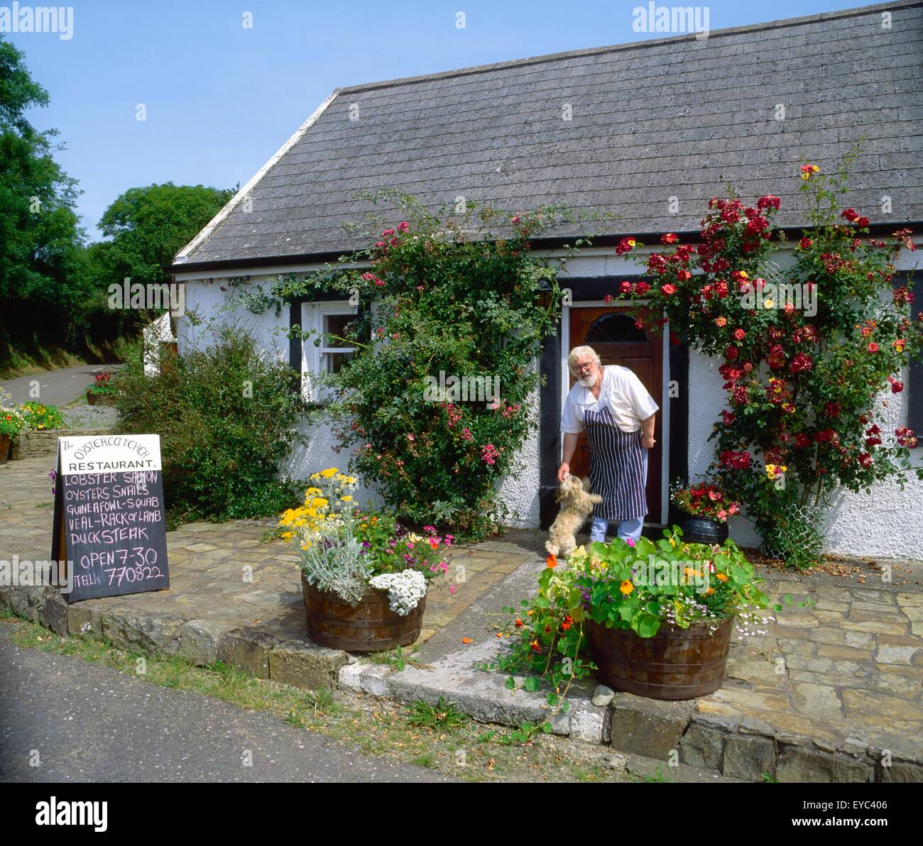Oystercatcher Restaurant, Oysterhaven, Co Cork, Ireland; Man And Dog