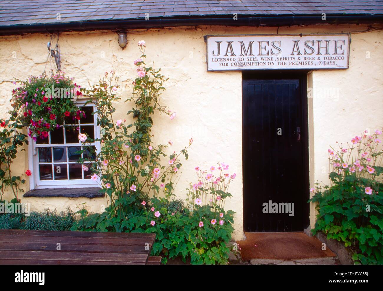 Derrymore, Dingle Peninsula, County Kerry, Ireland; Pub Exterior Stock