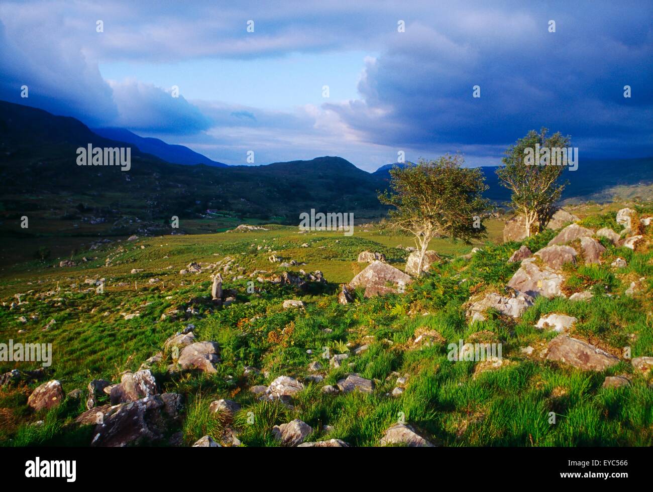 Molls Gap, Killarney National Park, County Kerry, Ireland; Rocky Stock  Photo - Alamy