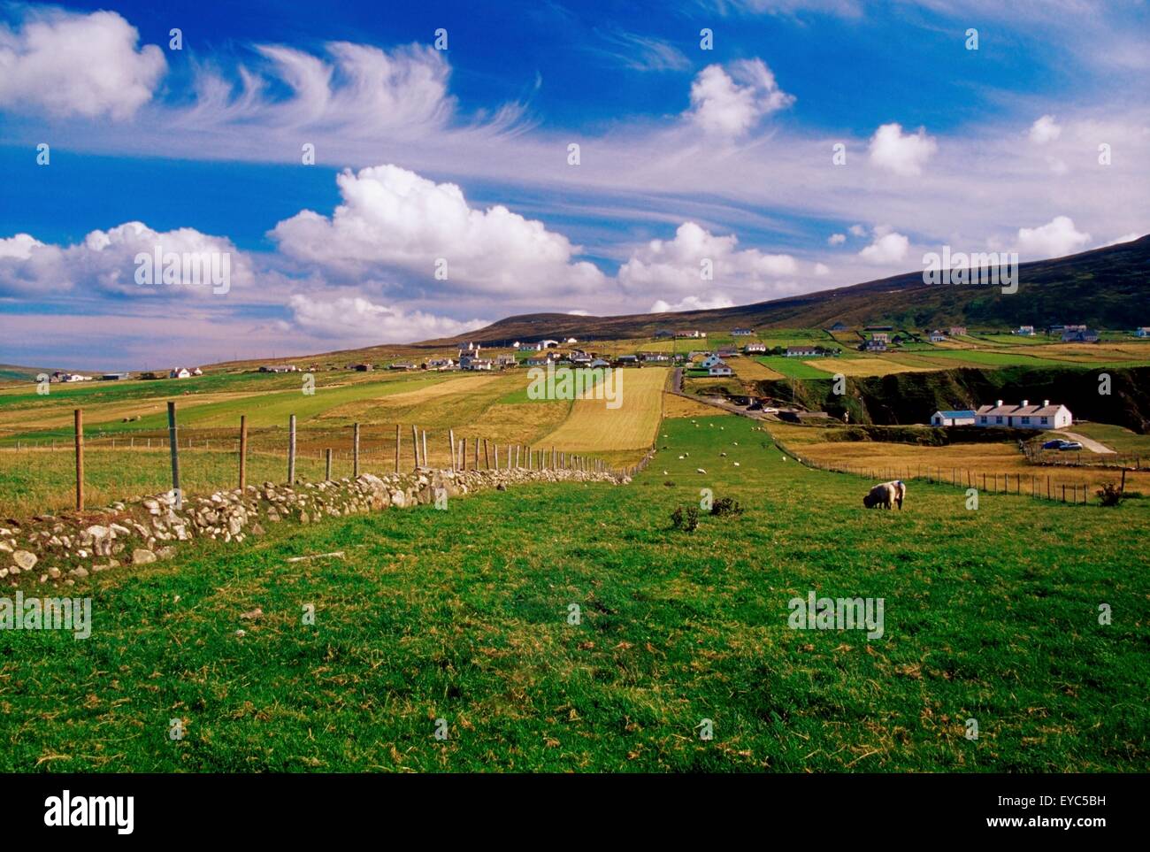 Sheep & Farmland, Malin Beg, County Donegal, Ireland Stock Photo Alamy