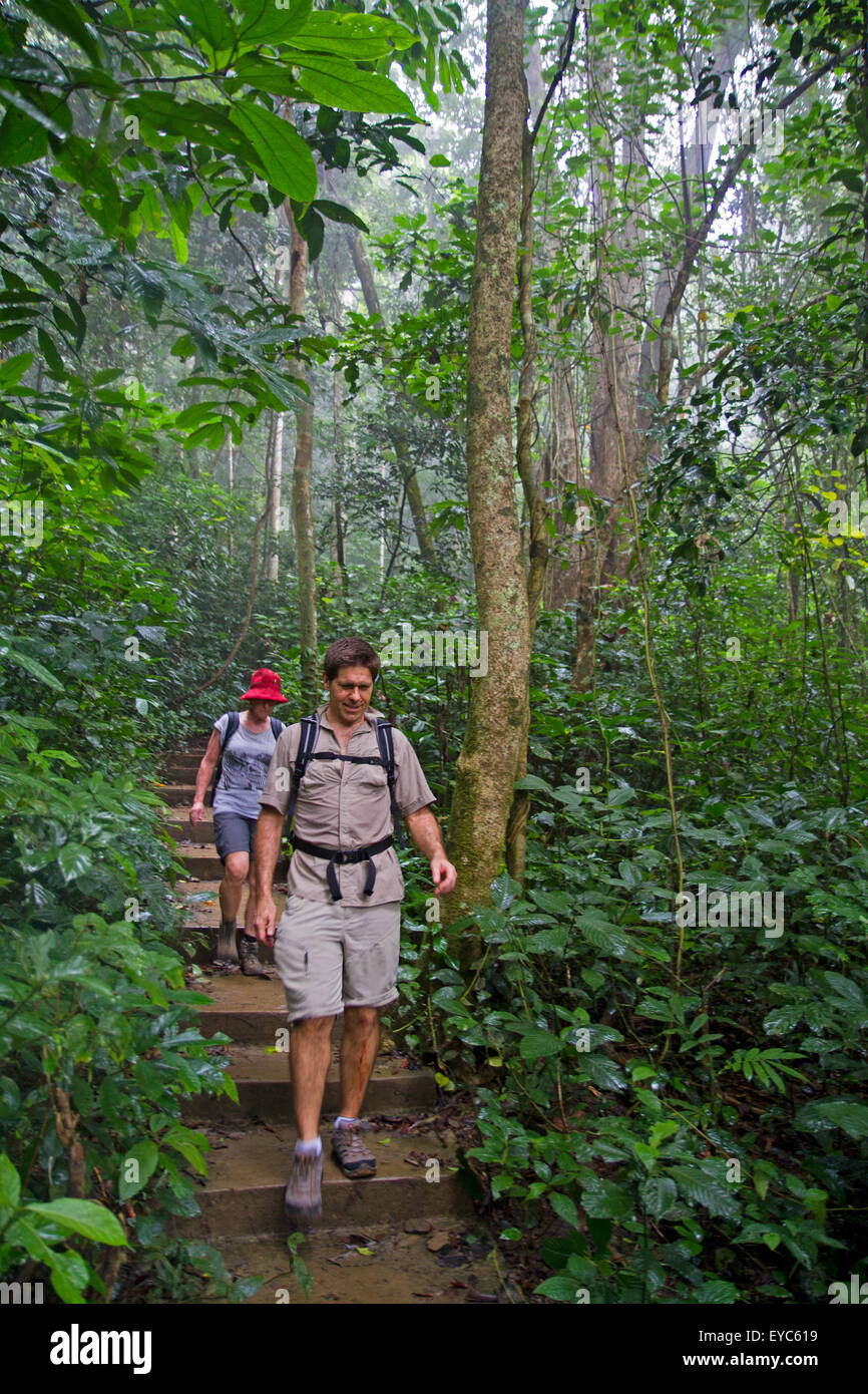 Hikers in the jungle of Cuc Phuong National Park Stock Photo