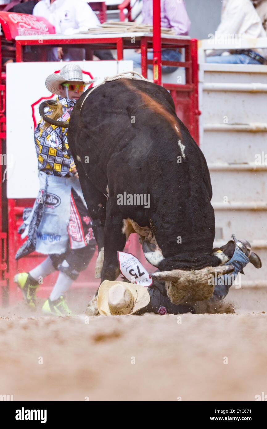 Cheyenne, Wyoming, USA. 26th July, 2015. Bull rider Lon Danley is gored by a bull during the Bull Riding finals at the Cheyenne Frontier Days rodeo in Frontier Park Arena July 26, 2015 in Cheyenne, Wyoming. Danley was uninjured and walked off the arena. Stock Photo