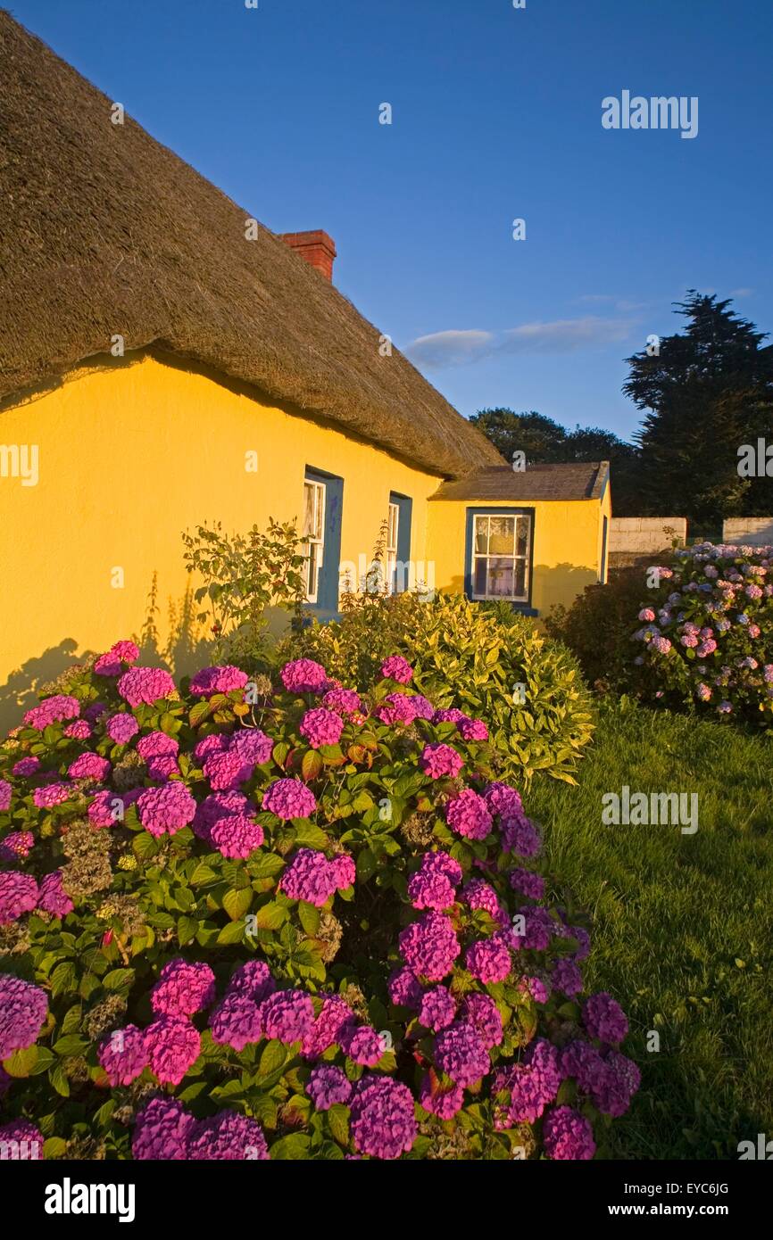 Kilmeaden, County Waterford, Ireland; Traditional Thatched Cottage