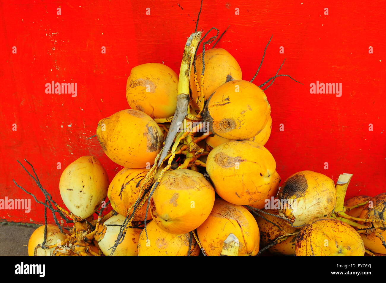 Yellow Coconuts, South India, Asia Stock Photo