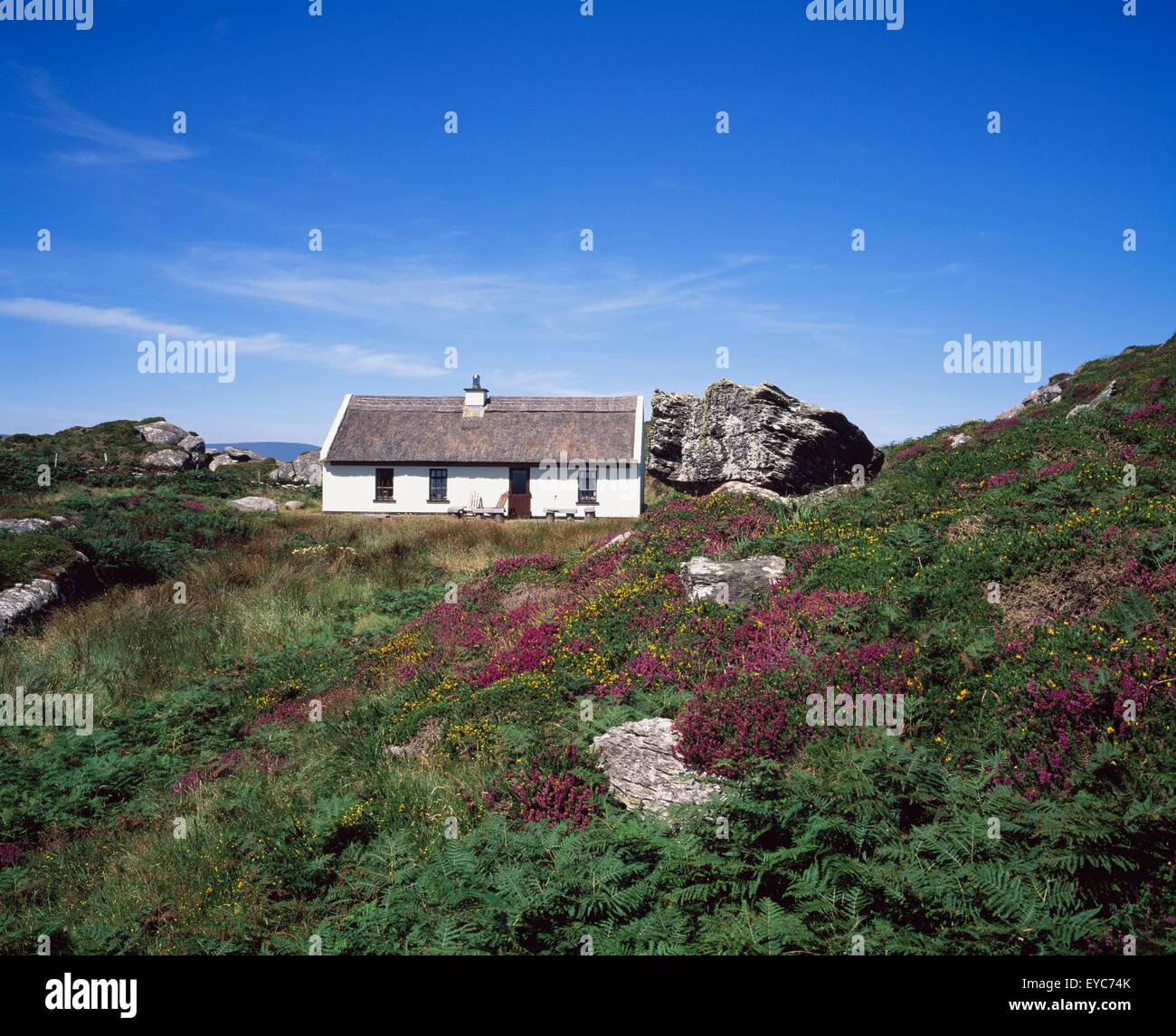Traditional Thatched Cottage On Hogs Head County Kerry Ireland