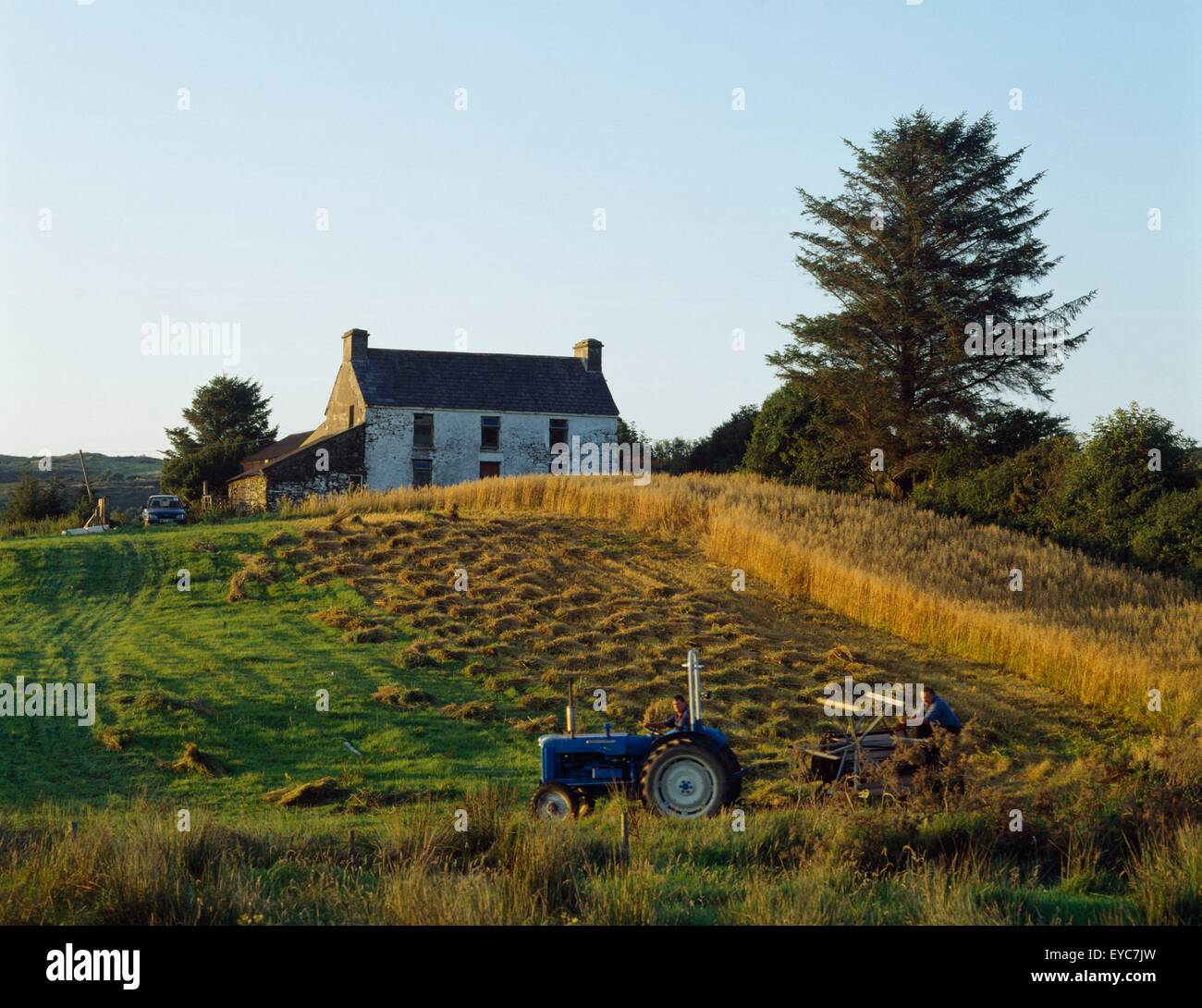 County Cork, Ireland; Farmer On Tractor Harvesting Field Stock Photo